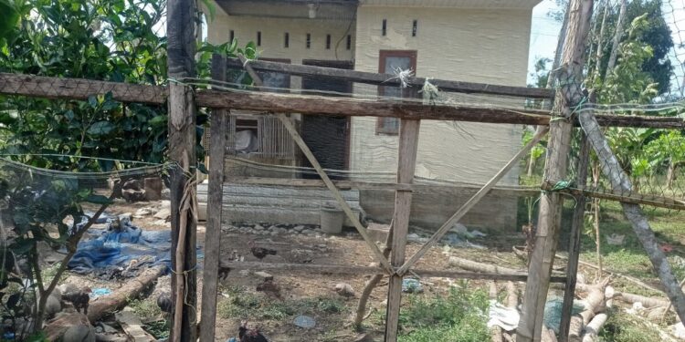 Rumah Bantuan di Aceh Utara Diduga Dijadikan Kandang Ayam