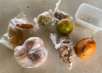 Menu MBG di Woyla Didominasi Kue dan Gorengan, Warga Woyla Soroti Standar Gizi Untuk Siswa