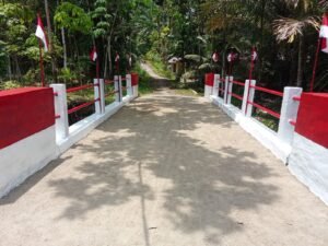 Kodim 0213/Nias Tuntaskan Pembangunan Jembatan Aramco di Sungai Malowu