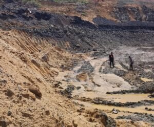 PT Mifa Digugat ke Pengadilan Negeri Meulaboh atas Dugaan Perampasan Lahan dan Perusakan Tanaman Warga
