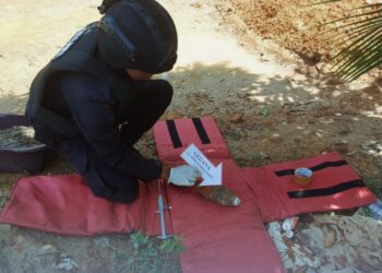 Tim Jibom Gegana Brimob Sumut Amankan Amunisi Bom Mortir