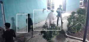 Sekelompok Pemuda Diduga Hendak Tawuran di Martubung, Polisi Belum Beri Keterangan