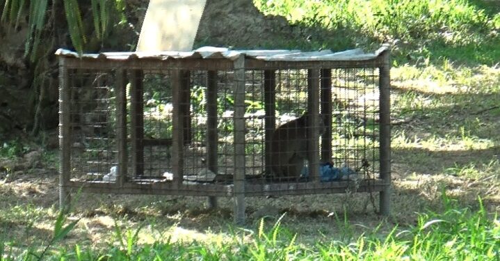 Screenshot_20260415_232317_Gallery-719x375 Beranda