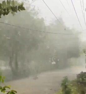 Screenshot_20260418_082732_WhatsApp-276x300 Angin Kencang Terjang Tanjung Anom, 7 Rumah Rusak dan Warga Luka Ringan