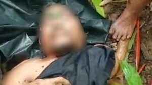 Nahas! Penebang Rumbia di Simeulue Tewas Tertimpa Pohon Saat Bekerja
