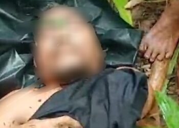 Laka Kerja Penebangan Pohon Rumbia Hingga Meningal