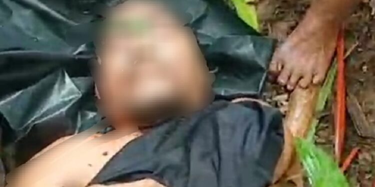 Nahas! Penebang Rumbia di Simeulue Tewas Tertimpa Pohon Saat Bekerja