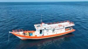 Boat Besar Hantui Pendapatan Pemancing Robin Kecil di Simeulue Hingga Mangkal di Pingiran 