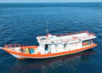 Boat Besar Hantui Pendapatan Pemancing Robin Kecil Disimeulue Hingga Mangkal Dipingiran 