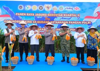 Polda Sumut Ikuti Panen Raya Jagung Serentak Polri Bersama Presiden Prabowo