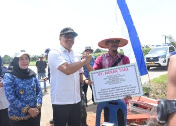 Tanam Cabai di Sunggal, Bupati Tindak lanjuti Keluhan Petani Soal Irigasi
