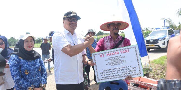 Tanam Cabai di Sunggal, Bupati Tindak lanjuti Keluhan Petani Soal Irigasi