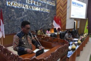 Wakil Bupati Deli Serdang Sampaikan Penjelasan Delapan Ranperda di Paripurna