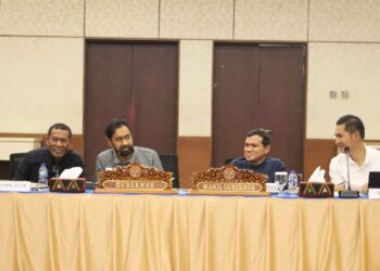 Mualem Tegaskan Revisi UUPA untuk Cegah Potensi Konflik dan Perkuat Kewenangan Aceh ‎