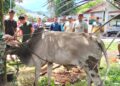 IMG-20260527-WA0040-120x86 Bantuan Presiden Prabowo Subianto Hadir Lewat Karya Bakti TNI
