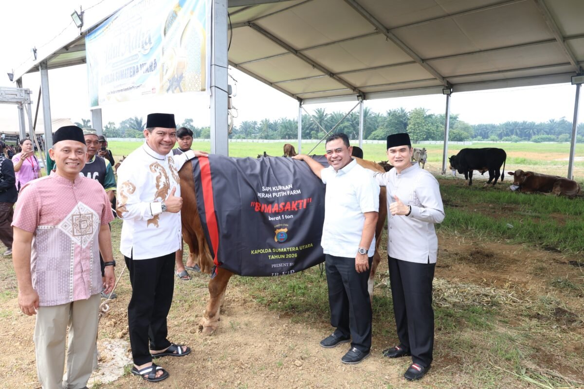 Polda Sumut Sembelih 31 Ekor Sapi di Hari Raya Idul Adha 2026