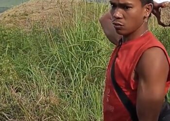 Viral Wisata Samosir, Ribut Soal Tarif Masuk, Pria Mengamuk Pakai Batu