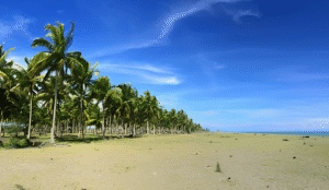 Deretan Kelapa dan Laut Biru Pantai Seunagan, Permata Tersembunyi yang Memikat Hati Wisatawan di Nagan Raya