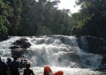 Eksotis dan Belum Banyak Diketahui, Pesona Air Terjun Pungki di Tengah Alam Liar