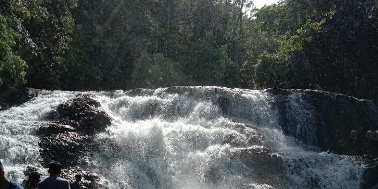Eksotis dan Belum Banyak Diketahui, Pesona Air Terjun Pungki di Tengah Alam Liar