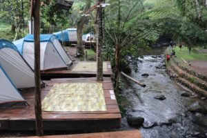 Camping di Pentago Garden, Menikmati Malam Dingin di Jantung Dataran Tinggi Gayo