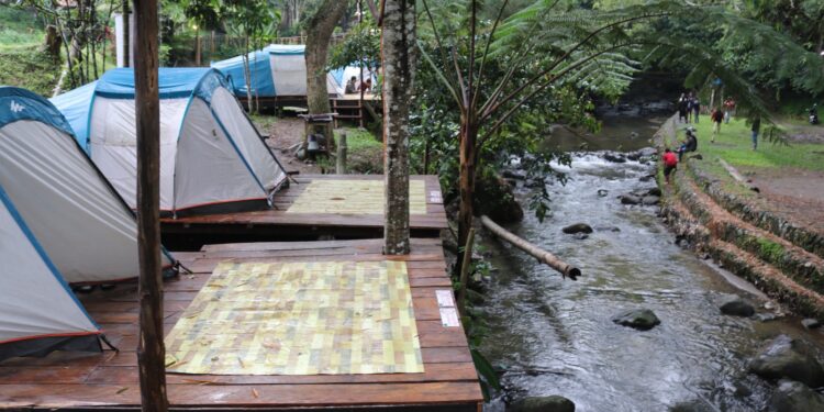 Camping di Pentago Garden, Menikmati Malam Dingin di Jantung Dataran Tinggi Gayo