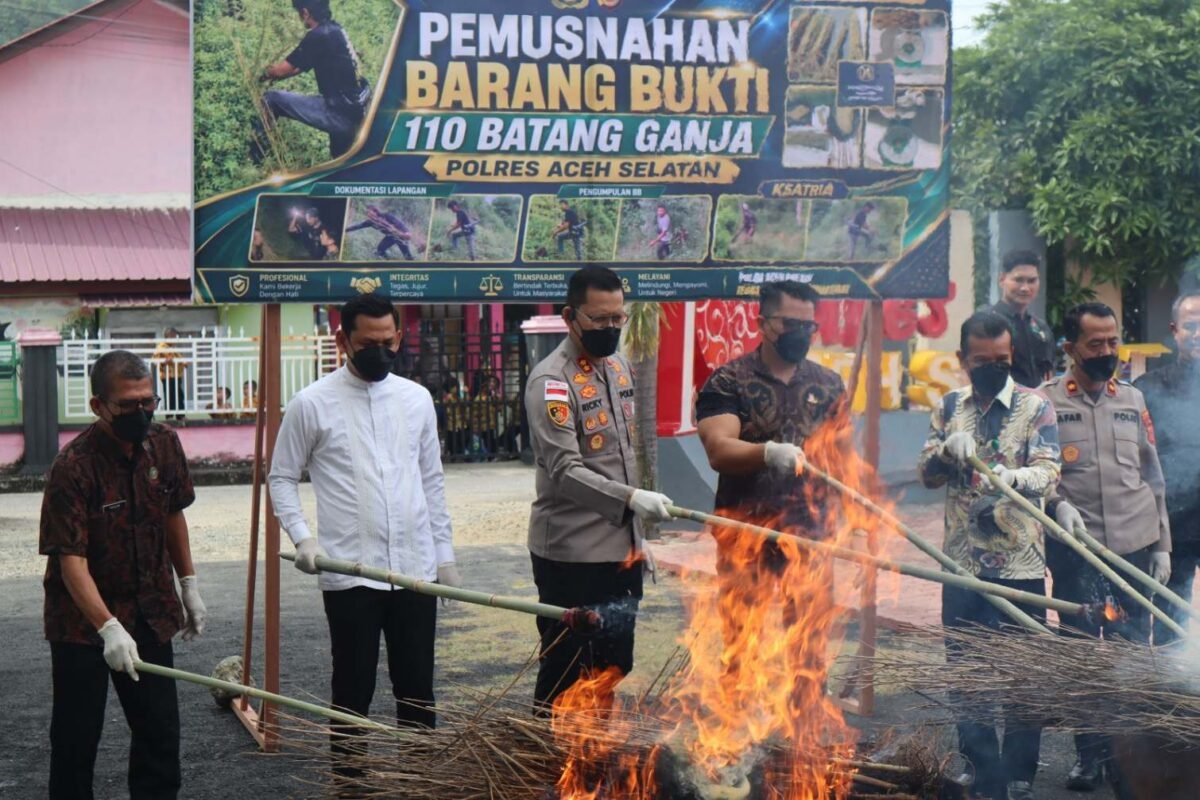 Polres Aceh Selatan Musnahkan Barang Bukti Narkotika Jenis Ganja  ‎