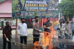 Polres Aceh Selatan Musnahkan Barang Bukti Narkotika Jenis Ganja  ‎