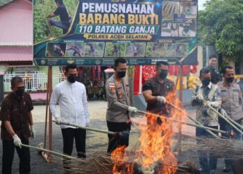 Polres Aceh Selatan Musnahkan Barang Bukti Narkotika Jenis Ganja  ‎