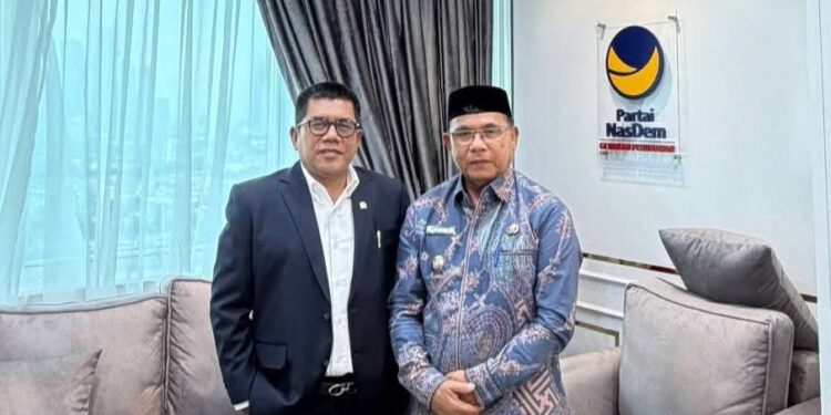 Wakil Bupati Nusar Amin Temui Anggota DPR RI Komisi XIII, Usulkan Lanjutan Pembangunan GOR Simeulue
