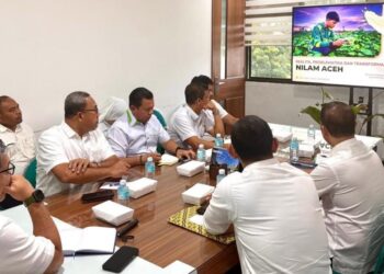 Dorong Sistem Resi Gudang, Pemerintah Aceh Percepat Hilirisasi Nilam