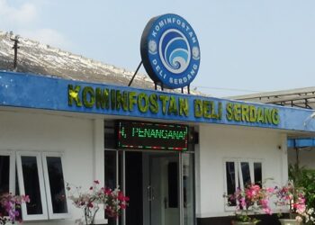 Kadis Kominfo Deli Serdang Bantah Perintah Larang Wartawan Liput Kunjungan Wamenkes di RS Tambunan