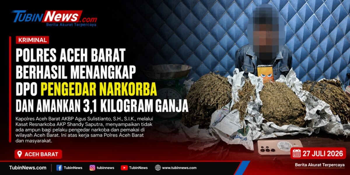 Polres Aceh Barat Berhasil Menangkap DPO Pengedar Narkorba dan Amankan 3,1 Kilogram Ganja