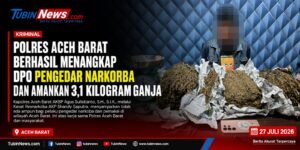 Polres Aceh Barat Berhasil Menangkap DPO Pengedar Narkorba dan Amankan 3,1 Kilogram Ganja