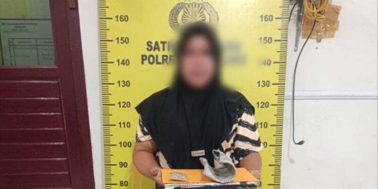 Suami Kabur Saat Digerebek, Istri Diamankan Polisi dalam Pengungkapan Kasus Ganja di Gayo Lues