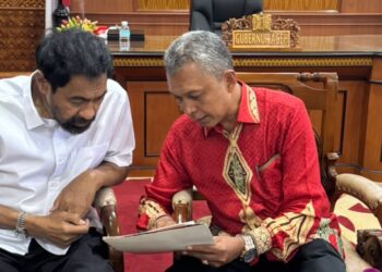 Kementan Siapkan Rp2,5 Triliun, Mualem: Maksimalkan untuk Pulihkan Sawah dan Kebun