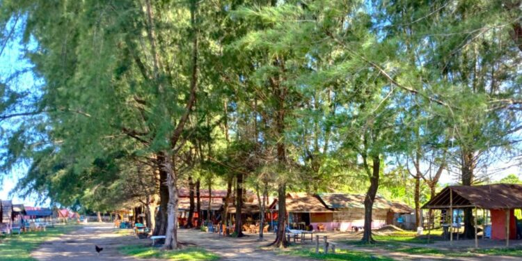 Menjelajah Pantai Alaik Sektare di Simeulue, Nikmati Pesisir Sambil Kulineran