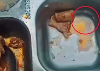 Viral Dugaan Ulat pada Menu MBG di Pantai Labu, Netizen Ramai Beri Tanggapan