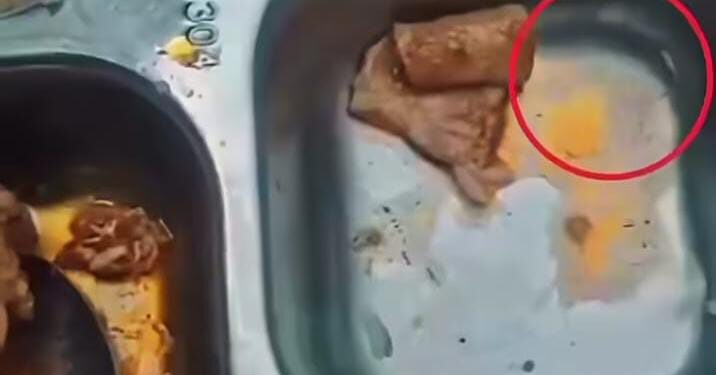Viral Dugaan Ulat pada Menu MBG di Pantai Labu, Netizen Ramai Beri Tanggapan