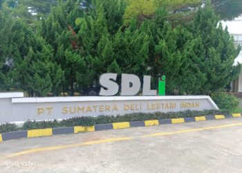 PT SDLI Sampaikan Klarifikasi Resmi Soal Dugaan Pencemaran Insinerator