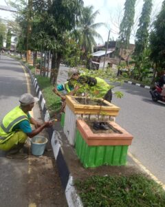 Petugas DLH Aceh Barat mengecat ulang pot tanaman dan pembatas trotoar di Meulaboh