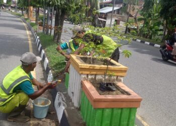 Rawat Fasilitas Umum DLH Aceh Barat Cat Ulang Pot Tanaman