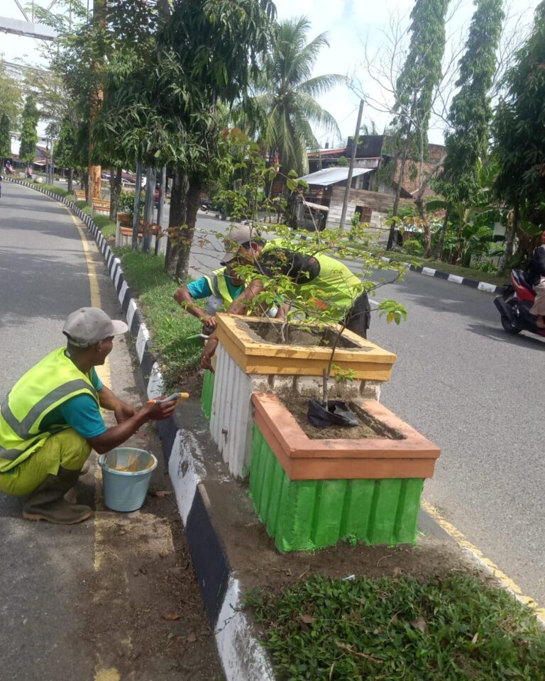 Petugas DLH Aceh Barat mengecat ulang pot tanaman dan pembatas trotoar di Meulaboh