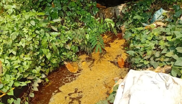 Limbah Kimia Diduga Pabrik Kasur Mengalir ke Warga Desa Sampali, LHK Sumut Segera Turun