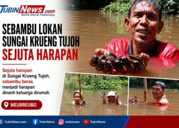 Sebambu Lokan Sungai Krueng Tujoh Sejuta Harapan