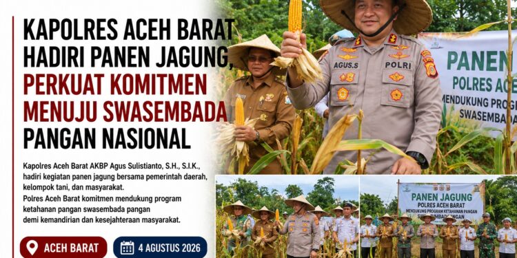 Kapolres Aceh Barat Hadiri Panen Jagung, Perkuat Komitmen Menuju Swasembada Pangan Nasional
