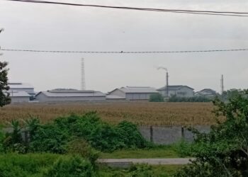 Warga Keluhkan Bau Menyengat Diduga dari Aktivitas PT SDLI di Deli Serdang