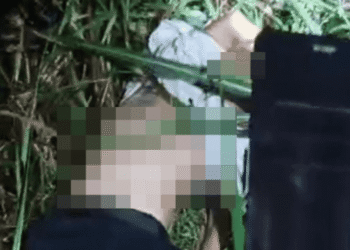 Driver Taksi Online Ditemukan Meninggal di Perkebunan Tebu Hamparan Perak