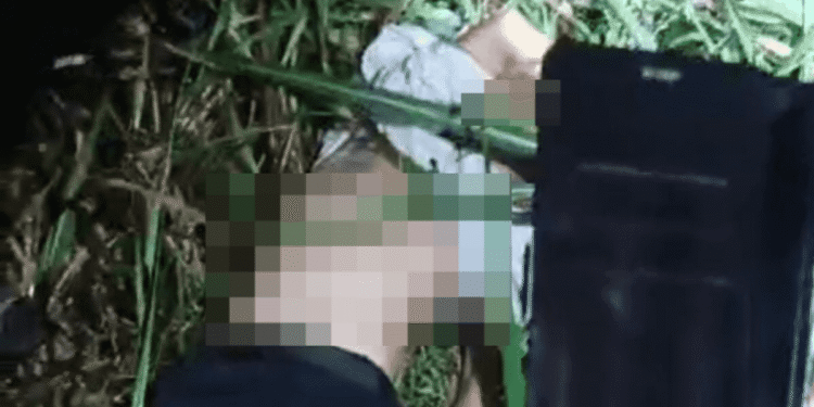 Driver Taksi Online Ditemukan Meninggal di Perkebunan Tebu Hamparan Perak
