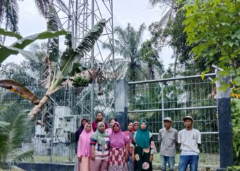 Warga Dusun III Desa Maligas Tongah Resah, Tower PT IBS Diduga Rusak Perangkat Elektronik